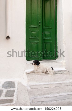 The dog on the doorstep. Front green door.