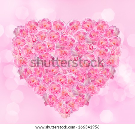 Heart made of pink roses. Isolated on pink bokeh background.