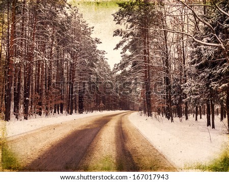 Winding road hidden behind tall pine trees, frosty winter landscape