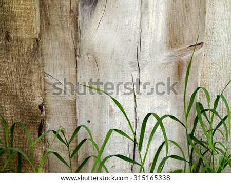 green grass in front of old wooden planks rustic fence, abstract landscape for all of your project