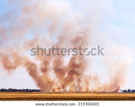 The fire and heavy smoke in the desert near the settlement during drought