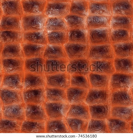 Alligator Skin Seamless Texture Stock Photo 74536180 : Shutterstock