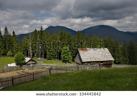 household consists of traditional wooden houses, in a clearing in the fir tree forest