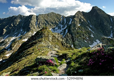 Hiking on a ridge with patches of snow and rhododendrons in Retezat National Park, Romania