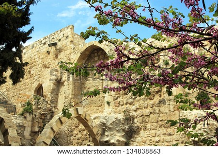 The yard with antique ruins and blooming trees in Jerusalem, Israel