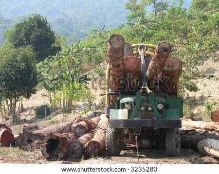 Timber Logging in Vietnam\'s Central Highland