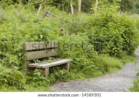 Park bench on a nature trail in a local park.
