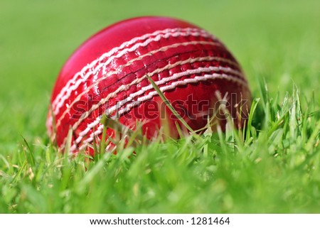 cricket ball on the grass