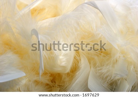 cream feather boa