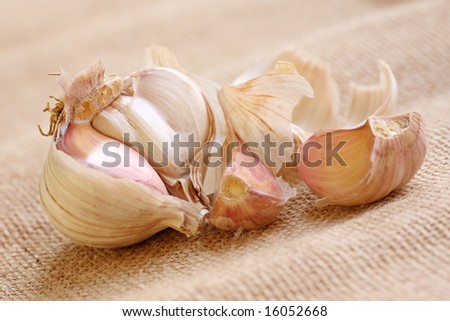 garlic bulb, focus on main bulb part.