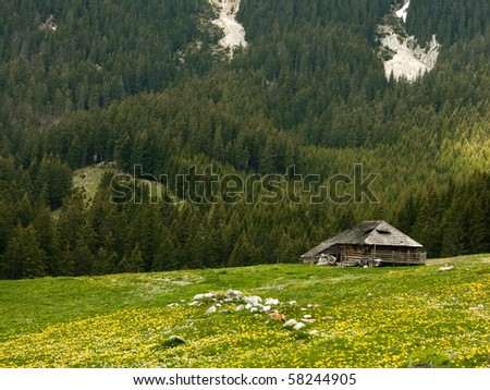 Shepherd cottage in Romania mountains