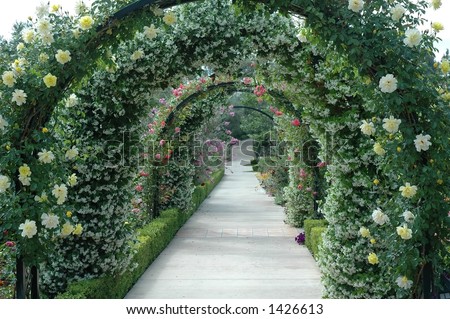 Floral Archway-Background