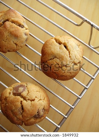 Fresh homemade peanut and chocolate chip cookies cooling on the rack.