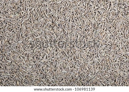 Dried cumin seeds full frame making food texture.