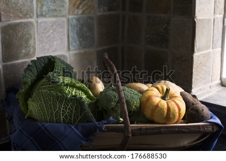 Selection of winter vegetables including savoy cabbage, broccoli, sweet lightning squash, in a trug harvesting basket
