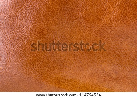 Texture of Brown Leather for Web page Background