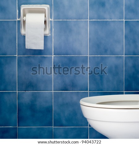 White sanitary ware and tissues in Blue bathroom