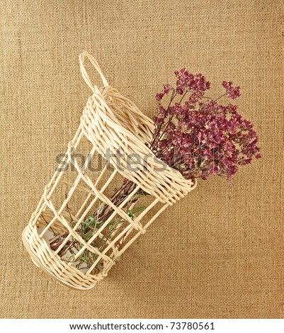 dry bunch of  oregano in basket on jute background