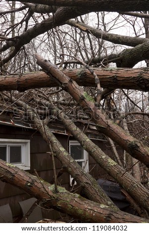 ANDOVER, NJ - OCT 30: Several trees lay across the roof of a home after Hurricane Sandy made landfall in the northeast region of the US in Andover, New Jersey on October 30, 2012.