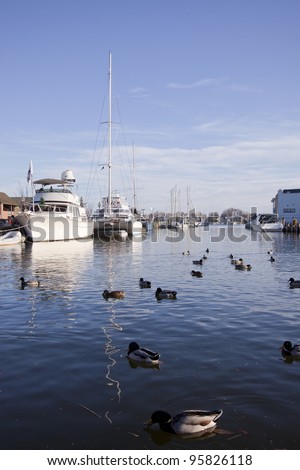 ANNAPOLIS-DEC 25: Yachts moored along the City Dock in Annapolis, Maryland on December 25, 2011. This section of the dock is called \'Ego Alley\'.