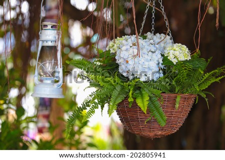 Begonia flower bouquet and vintage lantern in the beautiful flower arrangements at FLORIA event held in Putrajaya, Malaysia.