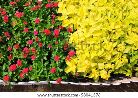 Assorted flowers arrangement beside a white fence.
