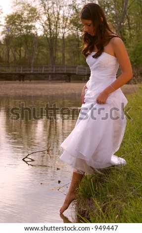 Senior Prom Dress VI