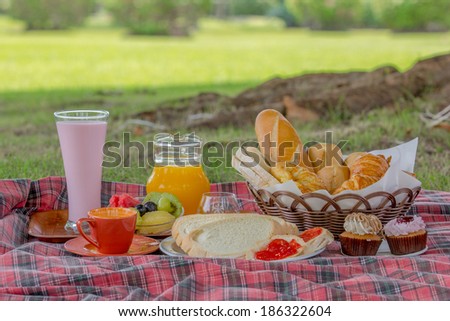 Healthy with sandwich and  orange juice at the picnic in the park