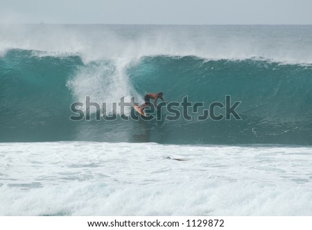 surf in hawaii