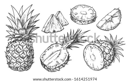 Similar – Image, Stock Photo citrus fruits cut into round pieces: orange, grapefruit, lemon, tangerine