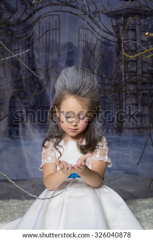 Snow Princess (Queen) - beautiful little girl with a winter makeover in a white dress with blue ribbon, on a background gate in fabulous frozen forest