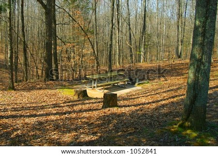 Picnic table in an isolated area in a Tennessee state park in the autumn.