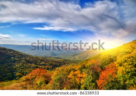 mountain landscape and woodland. natural composition