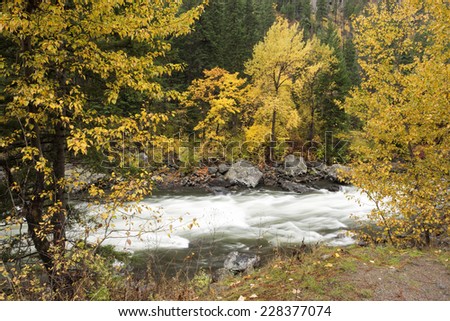 River between yellow trees near Leavenworth, Washington.