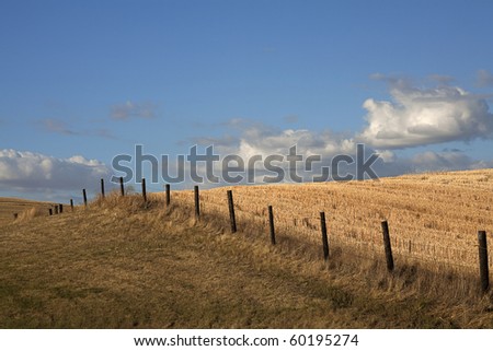A fence line runs through a wide open farm field in the Palouse region of Washington.