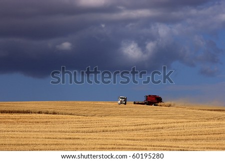 A red combine harvests crops in the wide open field.