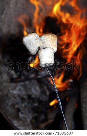 Roasting marshmallows on a stick over the open fire.