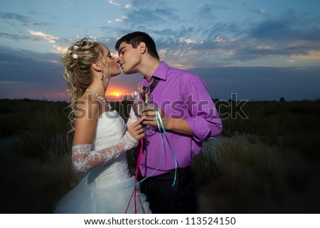 Closeup of bride and groom making a toast at sunset in the field outdoors