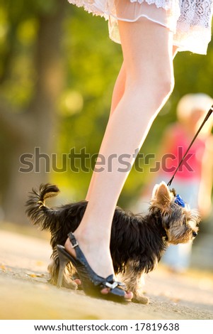 Woman with sweet tiny terrier