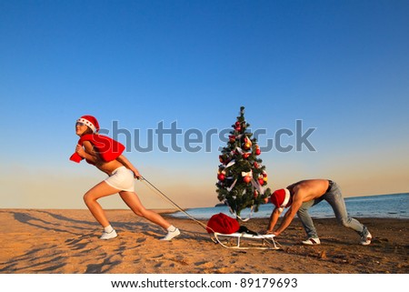 Sexy Santa pulling Christmas tree on a sled at the beach.  (concept: Tropical winter fun)