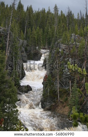 Beautiful waterfall cascading down the mountain through towering pines.
