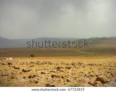 A tree in the middle of a Sun and rain in a desert