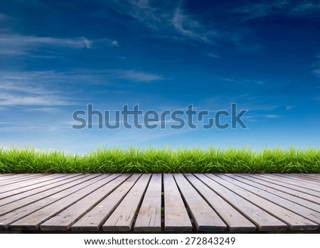 wooden terrace with fresh spring green grass and blue sky