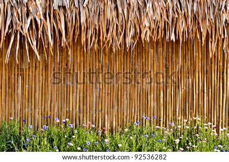 bamboo fence with beautiful flower