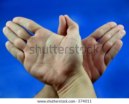 Here are two hands like a bird