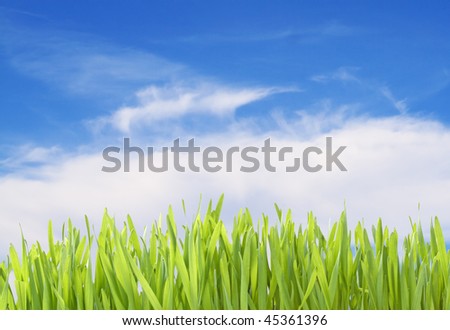 green grass isolated with clipping path for grass and holes inside it