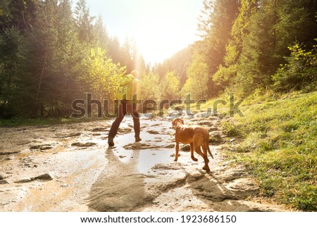 Similar – Image, Stock Photo Male hiker in mountainous area