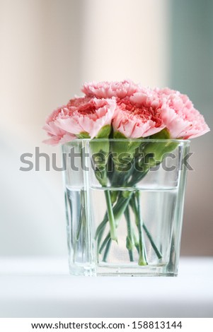 Bouquet of carnation flowers in glass vase