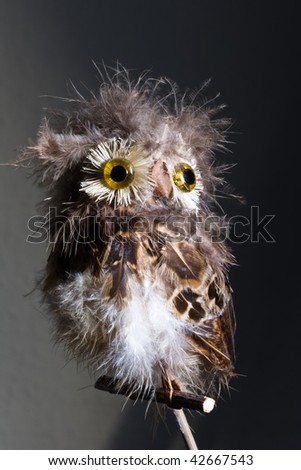 Owl Stock foto © 