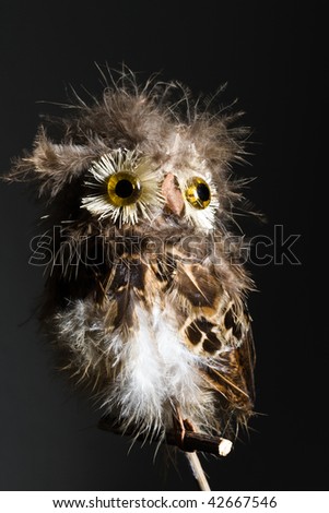 Owl Stock foto © 